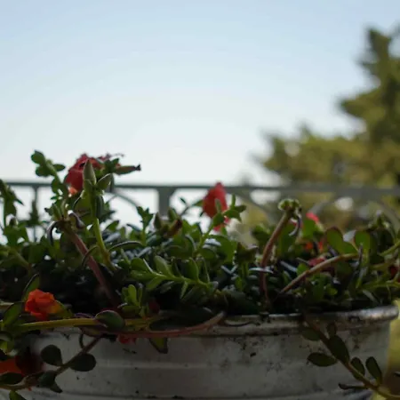 Сasa de vacaciones Katoussa Paleokastritsa