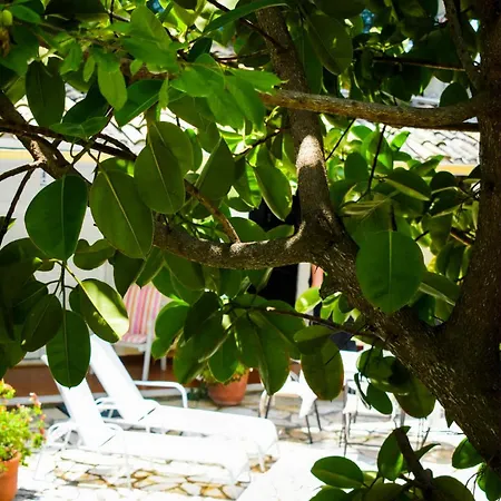 Katoussa Παλαιοκαστρίτσα