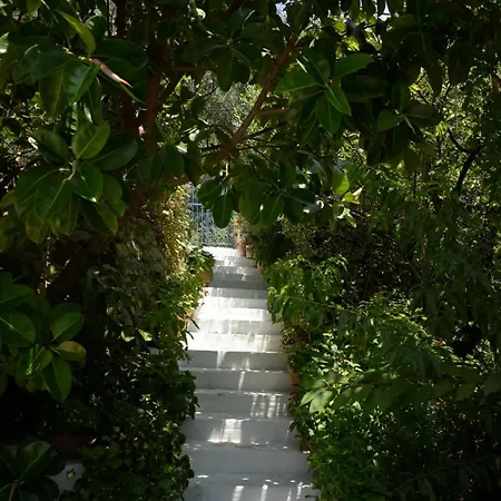 Katoussa Σπίτι διακοπών