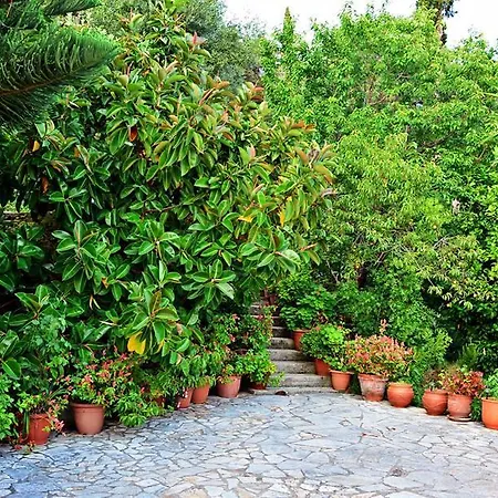 Case de vacanță Katoussa *