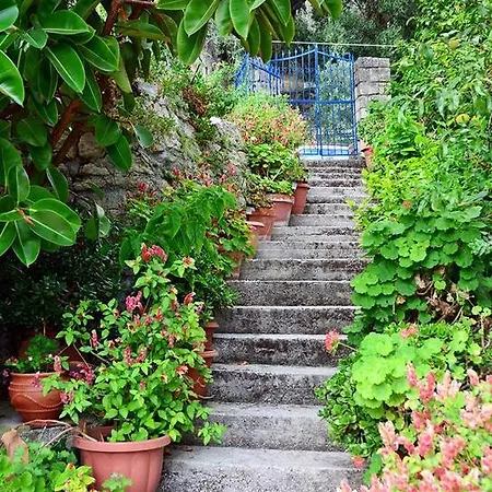 Katoussa Παλαιοκαστρίτσα